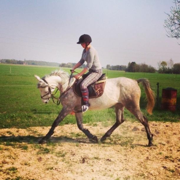 Anden særlig race India - India træning den 4/5-13 billede 3