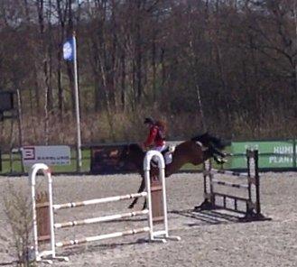 DSP Pikant V. - A pony - Landsstævne Ma - 4 plads 2013 <3 billede 13