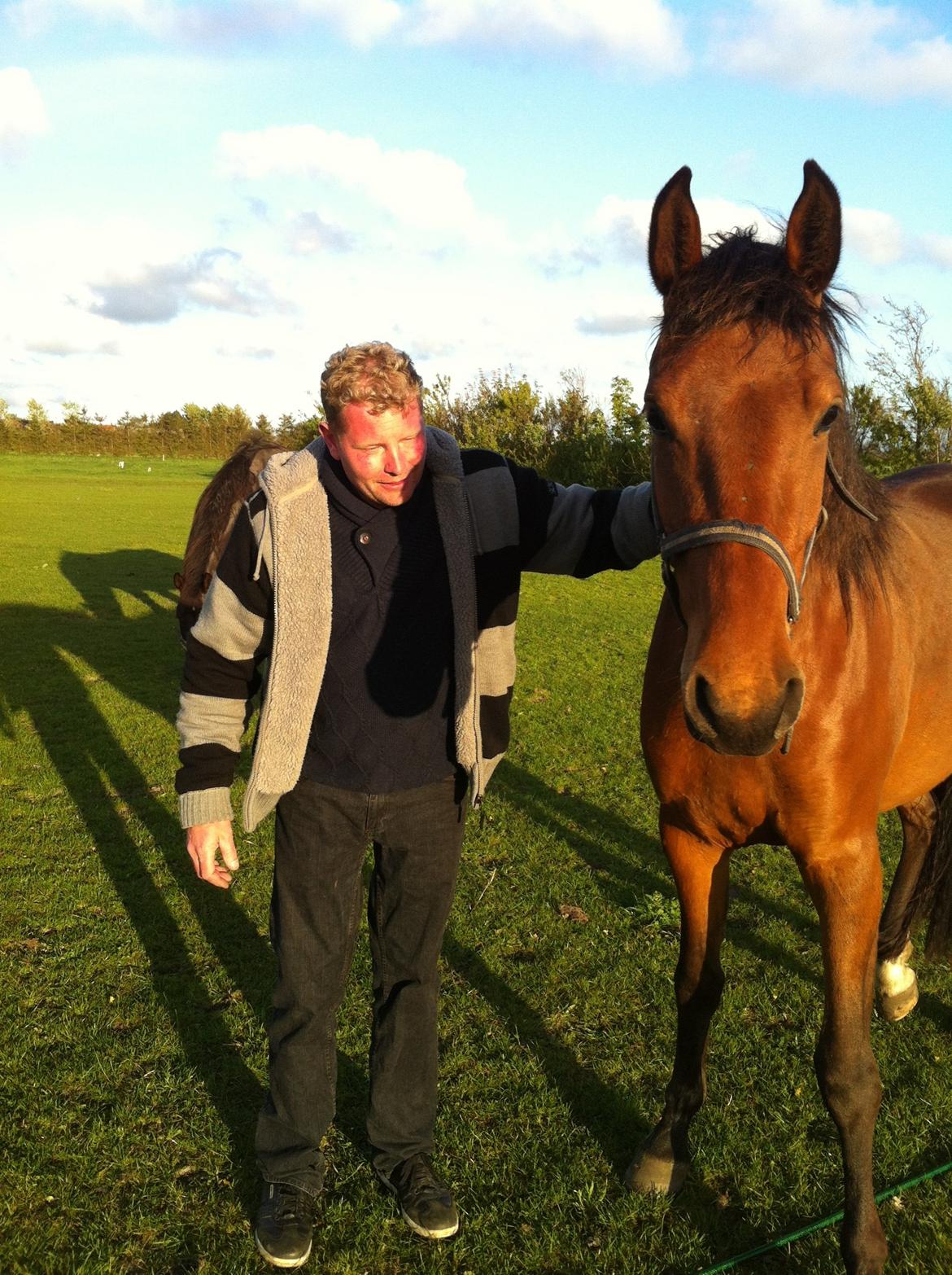 Holstener Casey billede 12