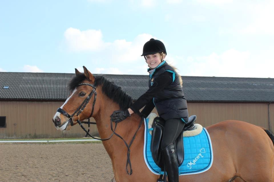 New Forest Fuglekildes Macoy billede 2