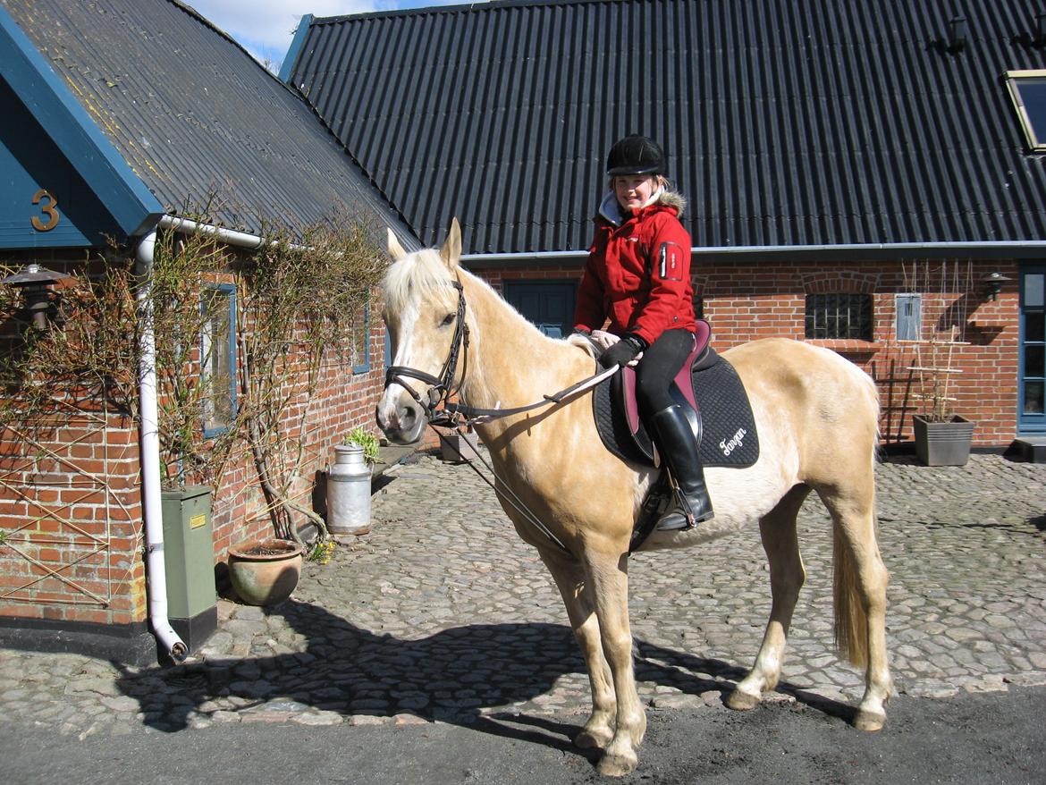 DSP Legend Moon Princess billede 10