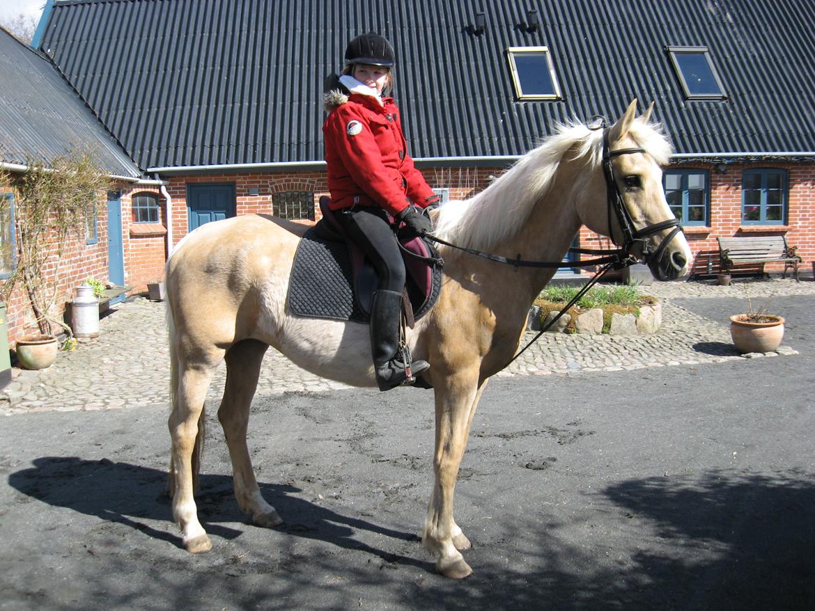 DSP Legend Moon Princess - Laura på Princess april 2013 billede 11