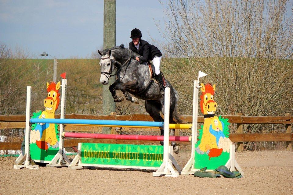 Holstener Corleone -Colle- - LB*, en bom :-) billede 16