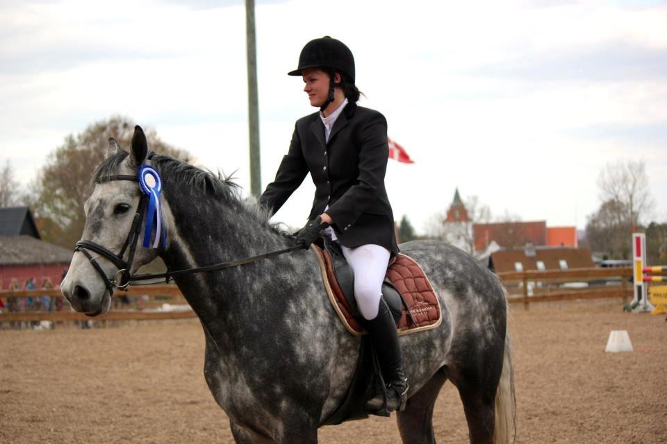 Holstener Corleone -Colle- - 2 pladsen i LB**, med Anja som rytter billede 18