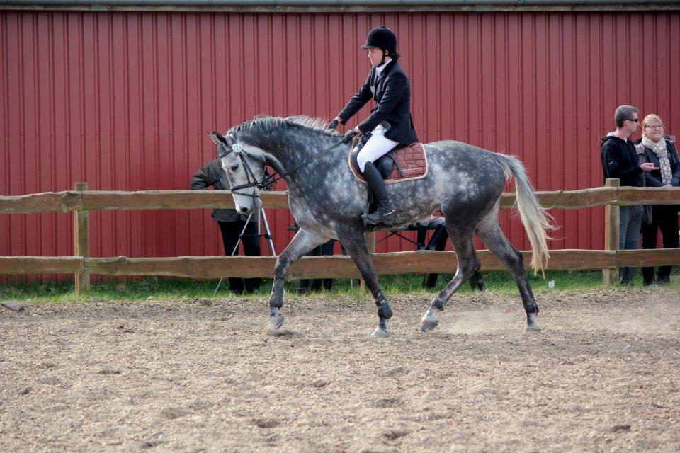 Holstener Corleone -Colle- - <3 billede 19