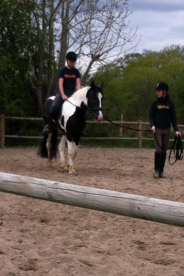 Irish Cob Hauge's Gilroy - Under tilridning :) billede 2