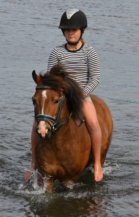 Anden særlig race Nougat <3 - Verdens bedste Nougat! <3 billede 2