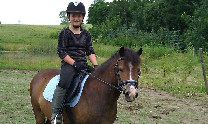 Anden særlig race Nougat <3 - En af de første gange jeg red ham! :O billede 4