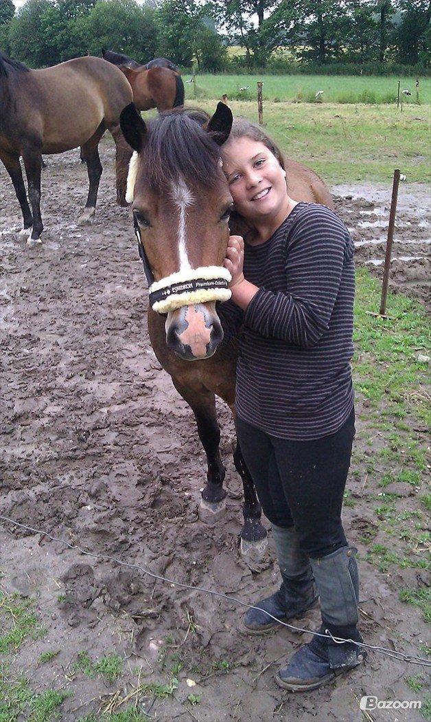 Anden særlig race Nougat <3 - Nougat med stævnegrimen :D <3 billede 8