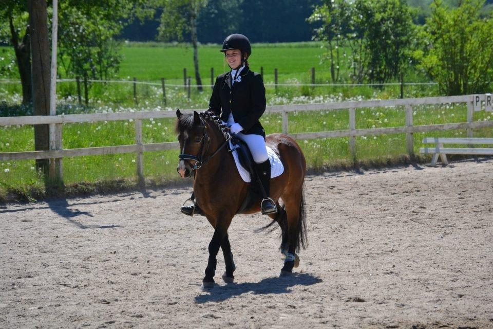 Anden særlig race Nougat <3 - Et af vores første stævner! <3 Vi vandt den klasse.  billede 11