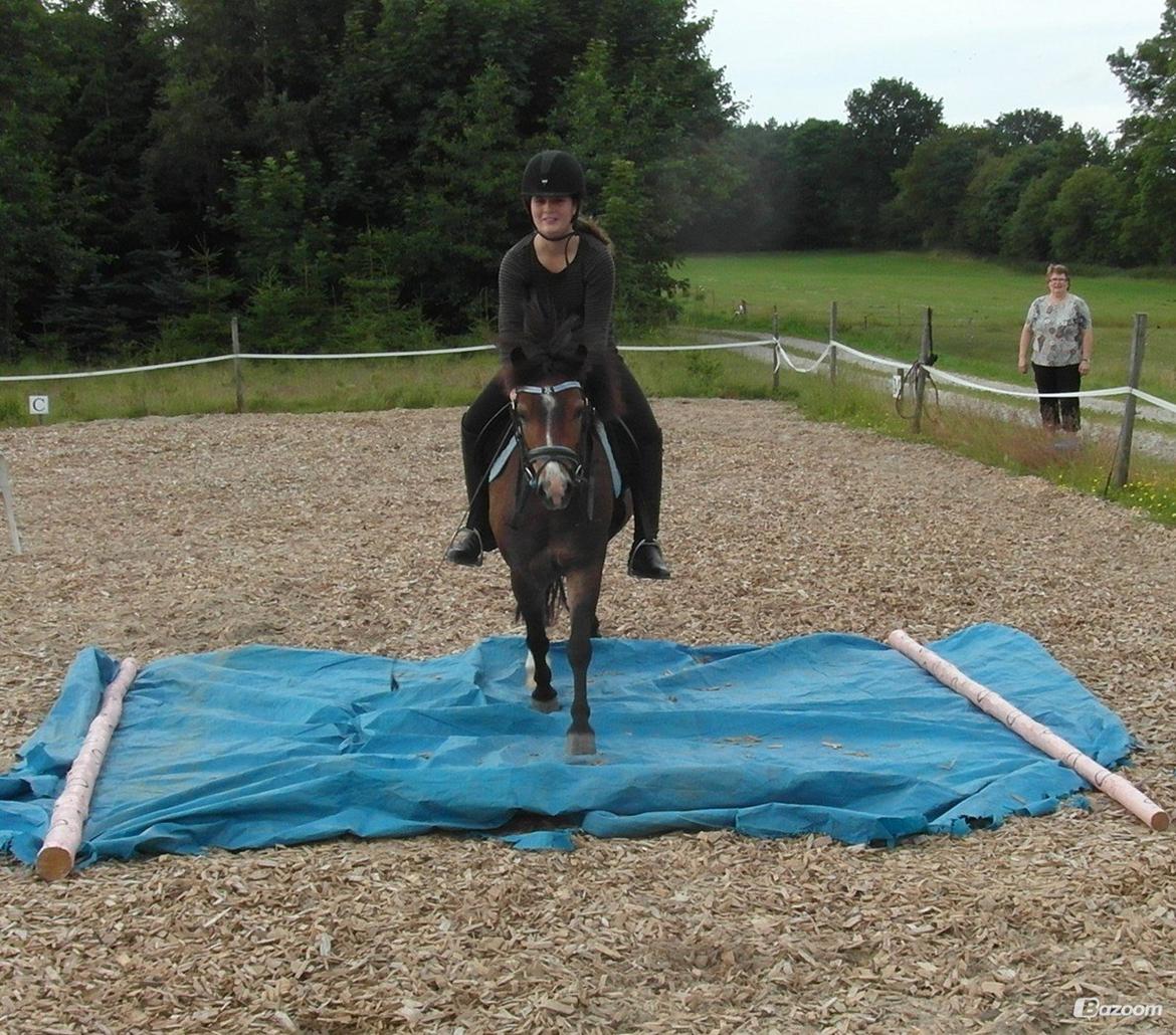 Anden særlig race Nougat <3 - Vi øver lige lidt :D <3 billede 7