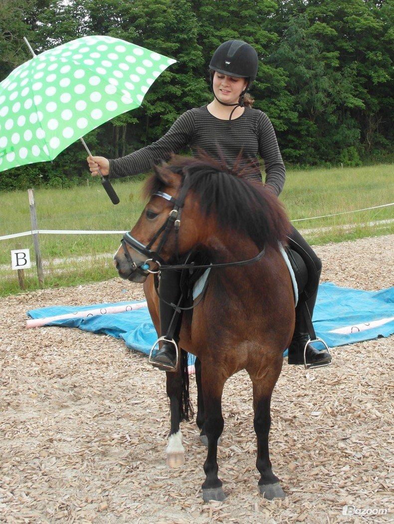 Anden særlig race Nougat <3 - Hold kæft hvor jeg elsker dig! Min bamsebjørn, altså! <3 billede 9