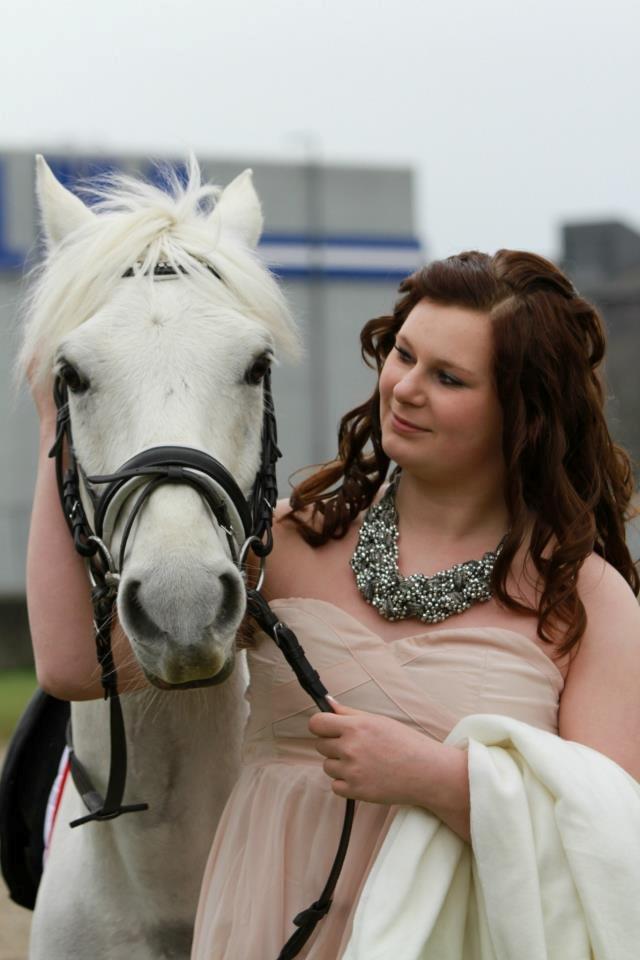 Hollandsk Sportspony Greyhound "pony" billede 4