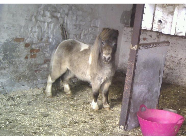 {{currentPhoto.altText}} billede {{currentPhoto.number}}