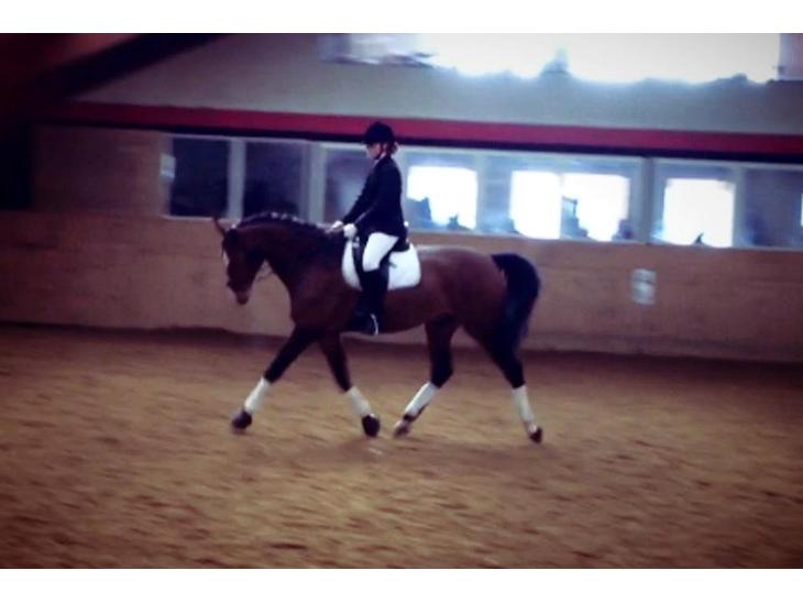 {{currentPhoto.altText}} billede {{currentPhoto.number}}