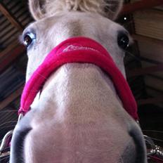 Pinto Marcia<3(Divaen<3)