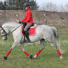 DSP GreenBay Aka. Grønne!