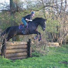 Oldenborg Siegård's flexness