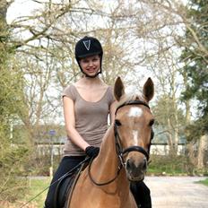 Palomino Chess Stauslykke