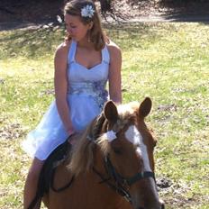 Anden særlig race Attila