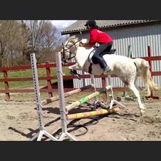 Anden særlig race Pepito my only one! <3