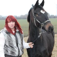 Dansk Varmblod Egevangens Loutana F R.I.P