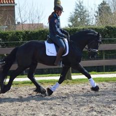 Frieser Douwe fan it Heim