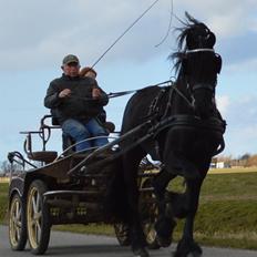 Frieser Douwe fan it Heim