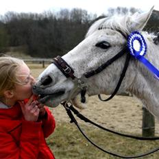 DSP Sv's Mercedes Morgenstern<3