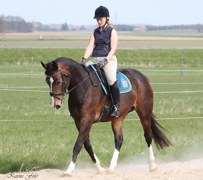Oldenborg Lilly af Støvlebæk (solgt)  - smukke Lilly billede 4