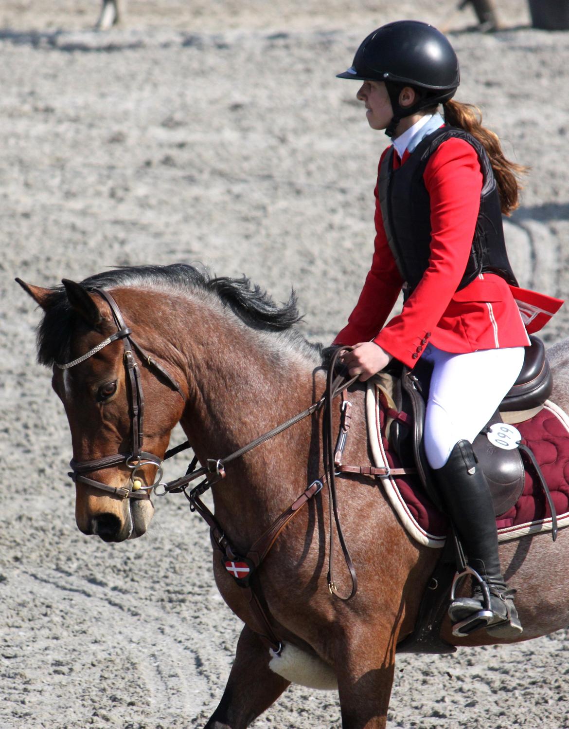 Irsk Sportspony Copper Caramel - Velkommen til Copper Caramels profil! Her ses mig og stjernen til NM udtagelse på Capa, i vores første S <3 
Foto: Kristine Rye Svendsen, tak :D billede 1