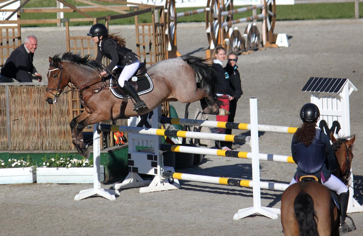 Irsk Sportspony Copper Caramel - Kan ikke lade være med at smile når jeg er sammen med dig <3
MA** udtagelse til NM på Capa, nr. 6!
Foto: Kristine Rye Svendsen, tak :) billede 20