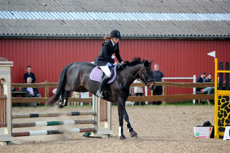 Fuldblod (XX) Staghøjgårds La Rochelle billede 15