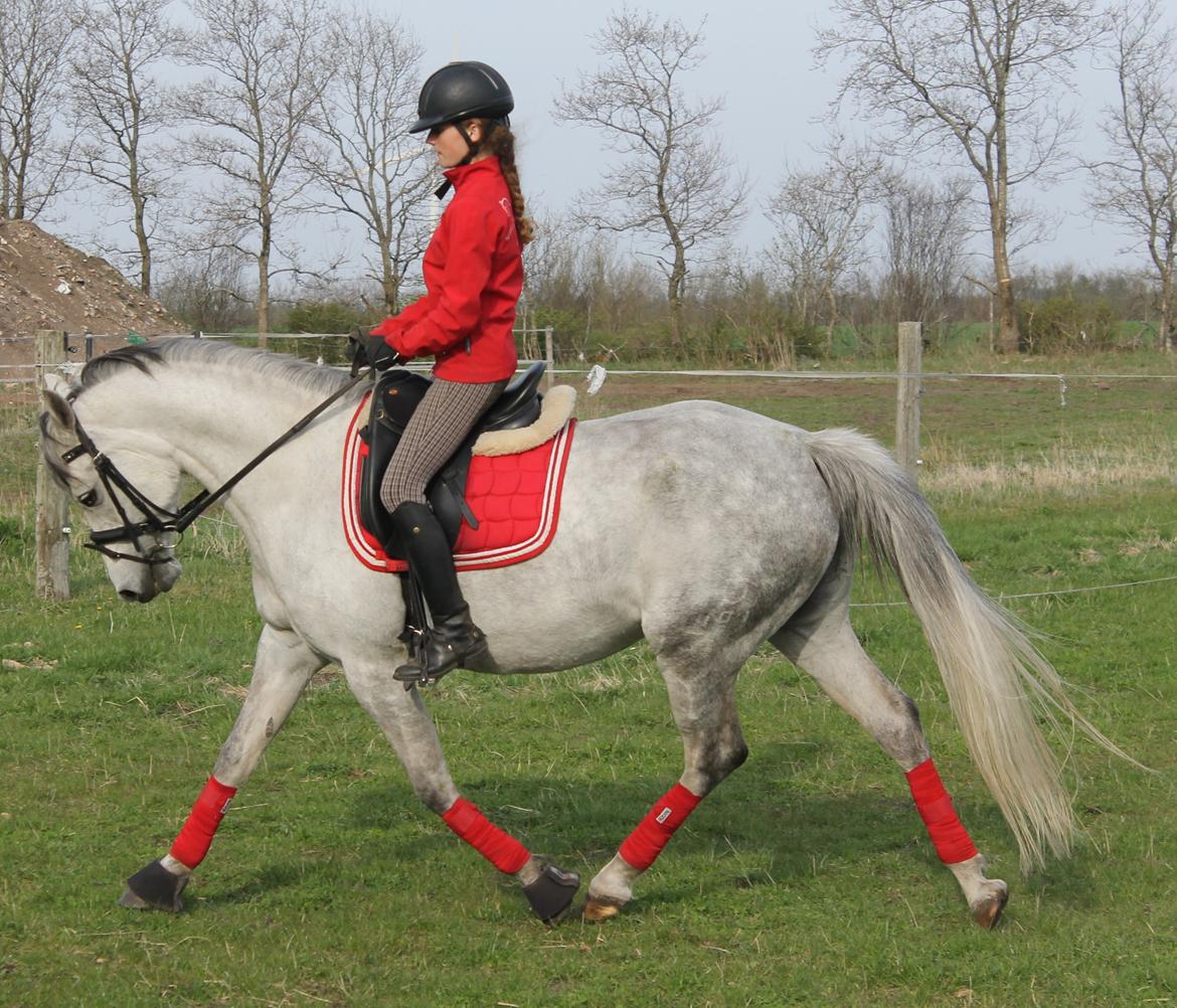 DSP GreenBay Aka. Grønne! billede 4