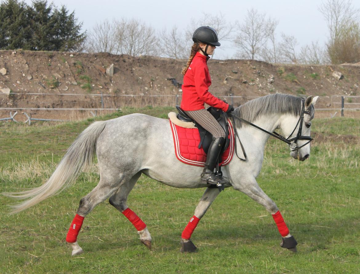 DSP GreenBay Aka. Grønne! billede 5