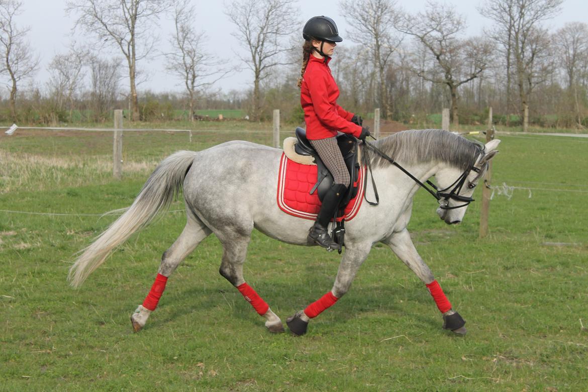 DSP GreenBay Aka. Grønne! billede 6