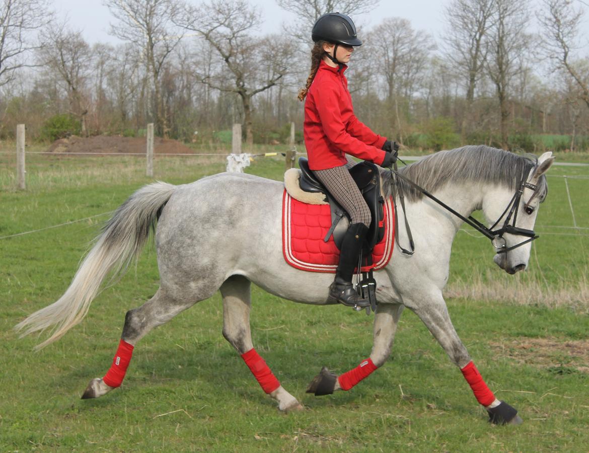 DSP GreenBay Aka. Grønne! billede 7