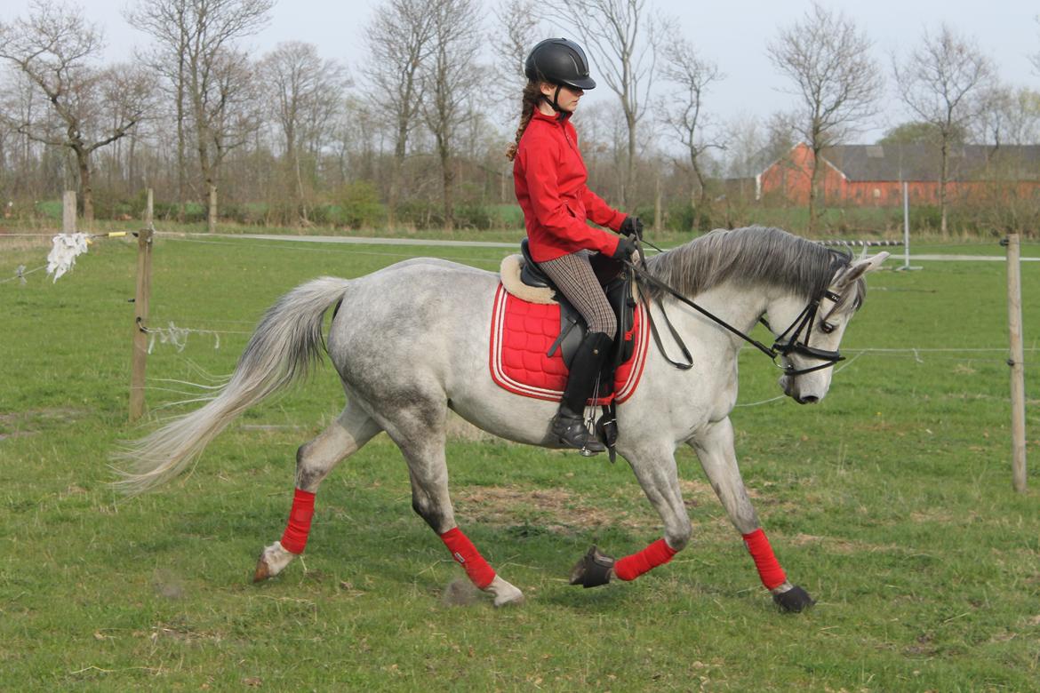 DSP GreenBay Aka. Grønne! billede 8