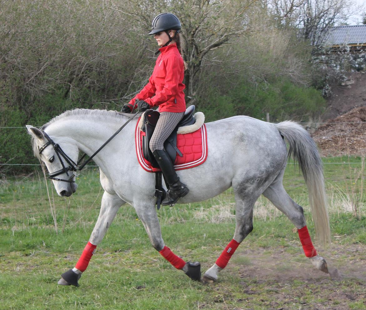 DSP GreenBay Aka. Grønne! billede 9