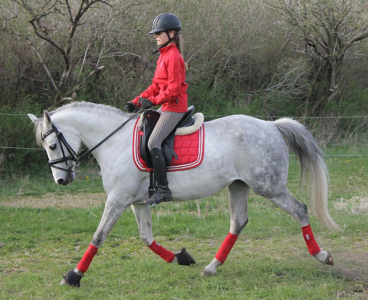 DSP GreenBay Aka. Grønne! billede 10