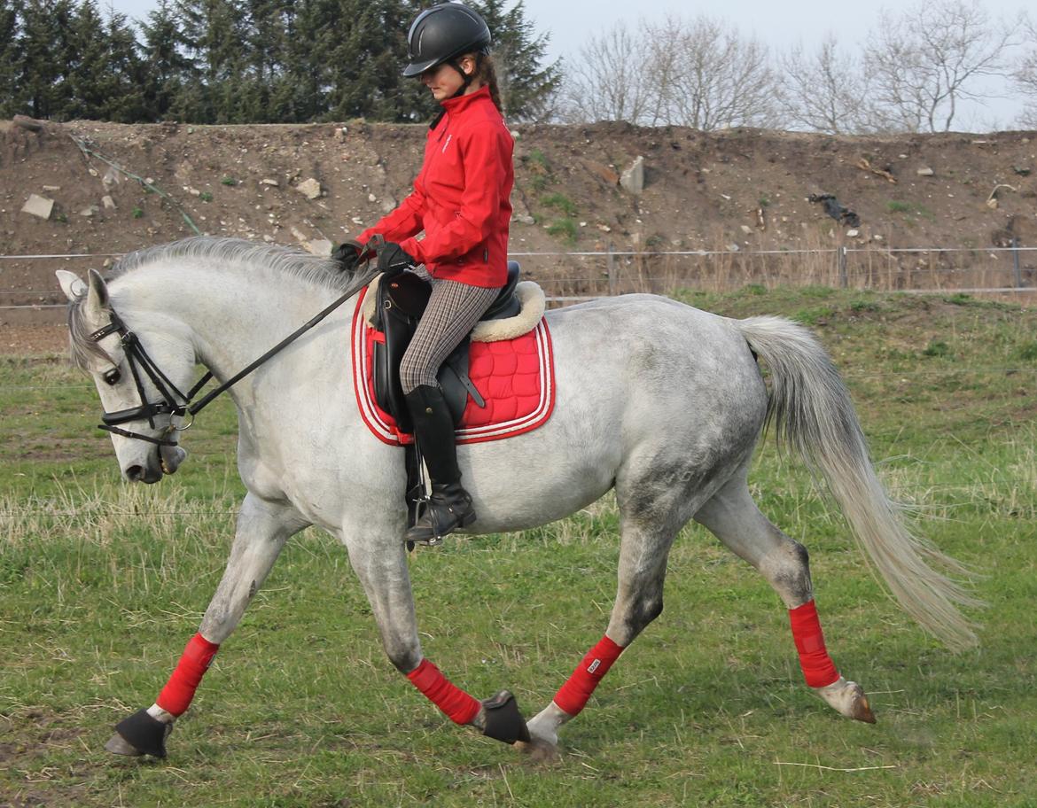 DSP GreenBay Aka. Grønne! billede 11