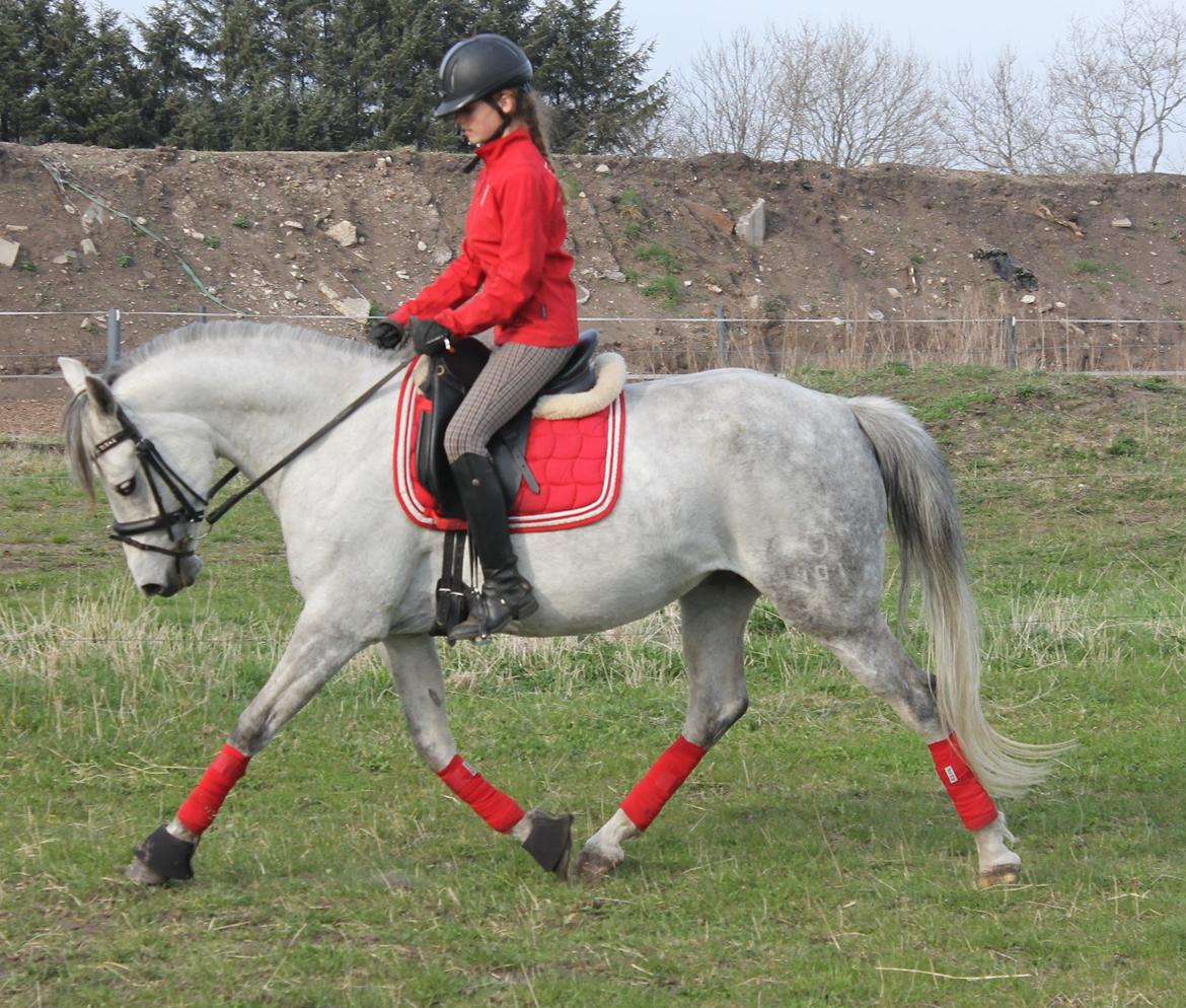 DSP GreenBay Aka. Grønne! billede 12