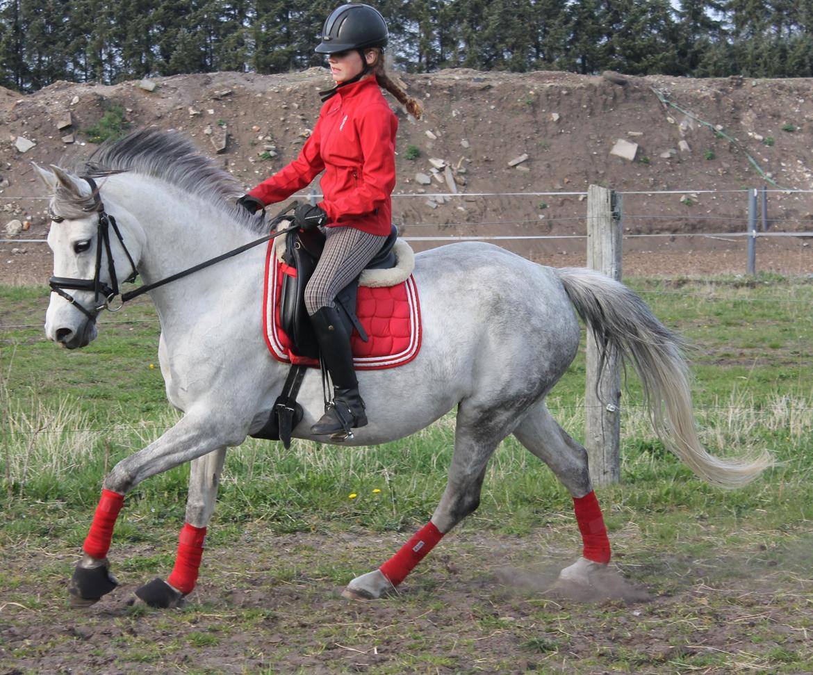 DSP GreenBay Aka. Grønne! billede 13