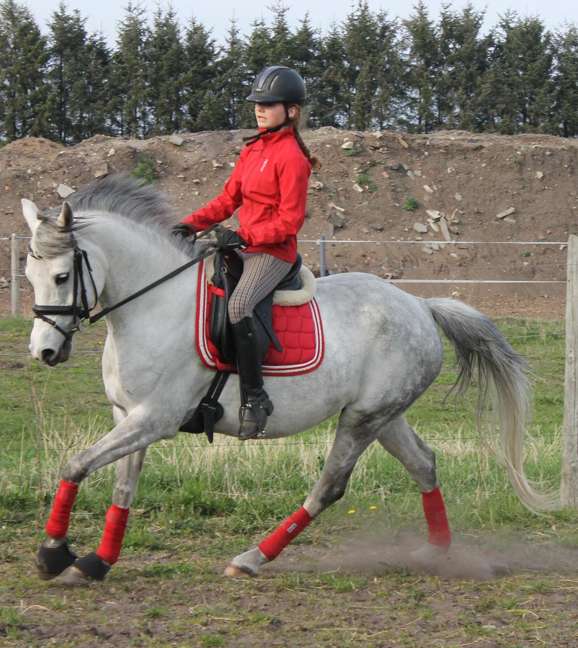 DSP GreenBay Aka. Grønne! billede 14