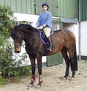 Holstener Finis II billede 11