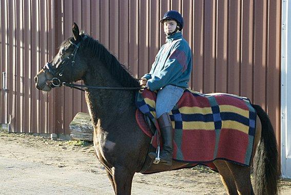 Holstener Finis II billede 15