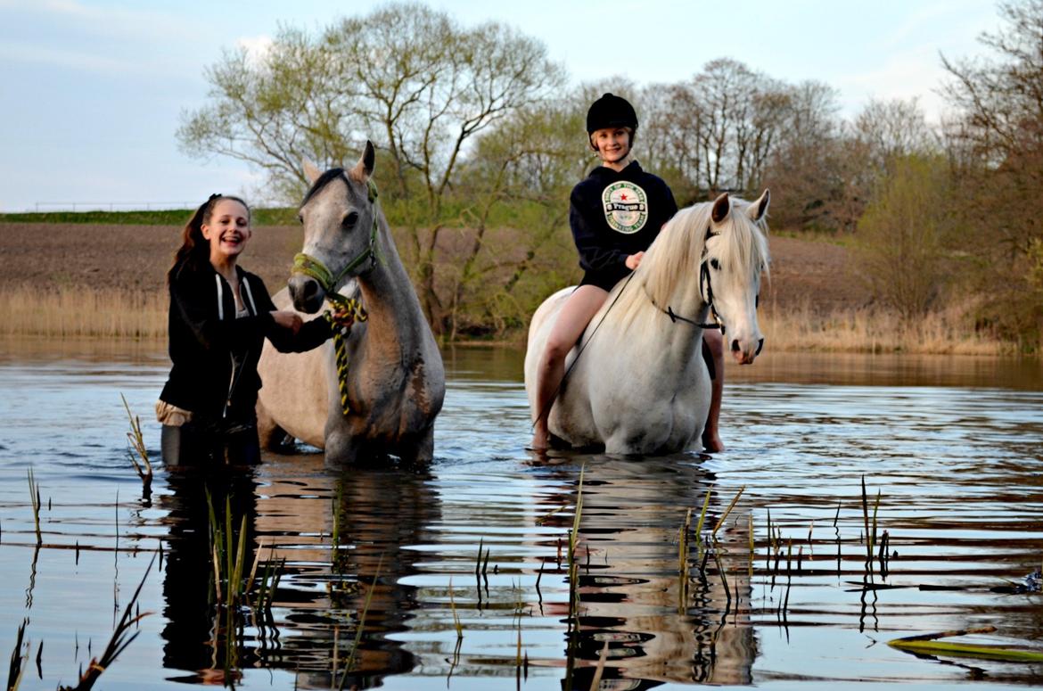 Anden særlig race Cindy - Med mine 3 yndlingstrunter i søen <3  billede 6