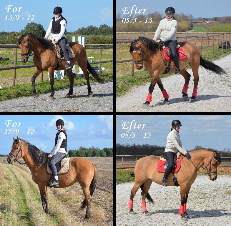 Anden særlig race Tequiro Sunset | Tio | <3 - Hun er blevet så fin .. billede 10