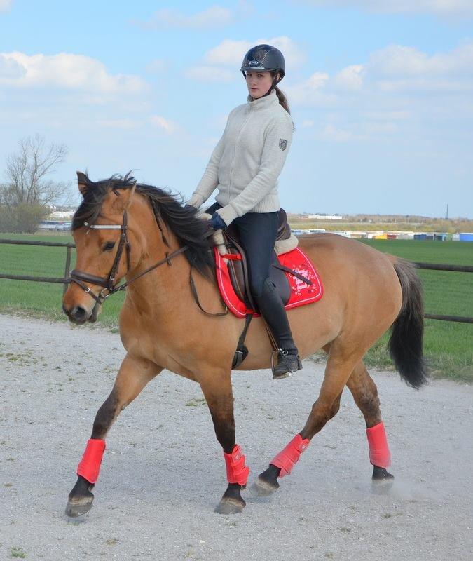 Anden særlig race Tequiro Sunset | Tio | <3 billede 7