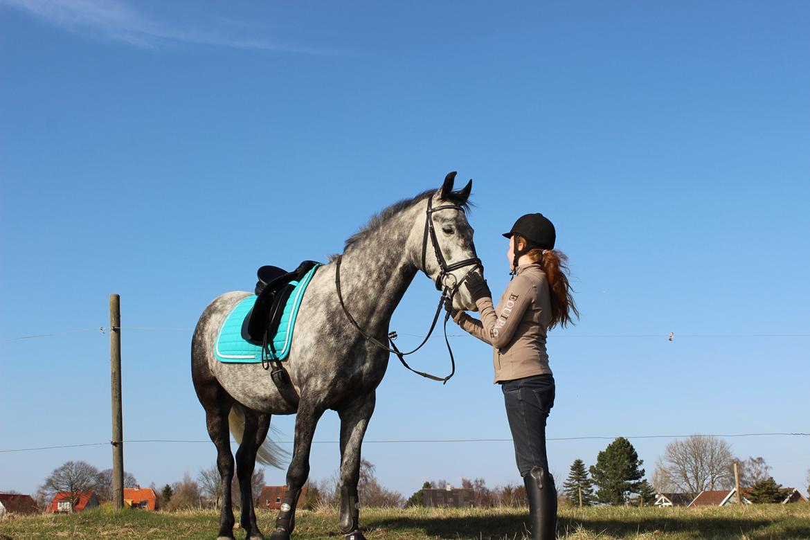 Anden særlig race Leonardo Søblink (Leo) billede 6